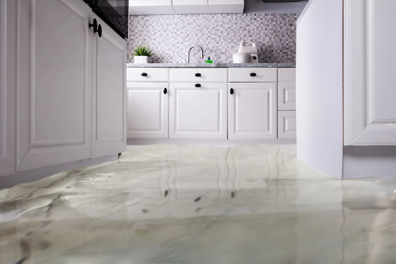 standing water on kitchen floor