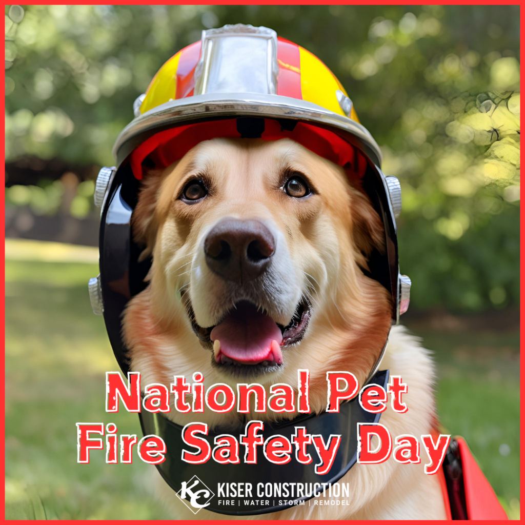 Pet Fire Safety – Kiser Construction