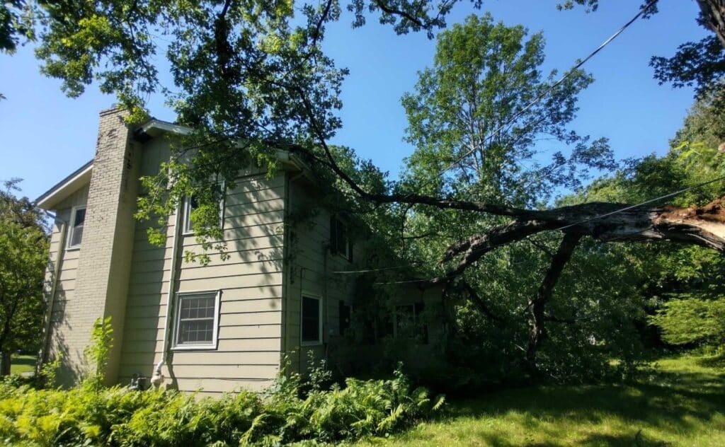 tree that fell on house during a storm