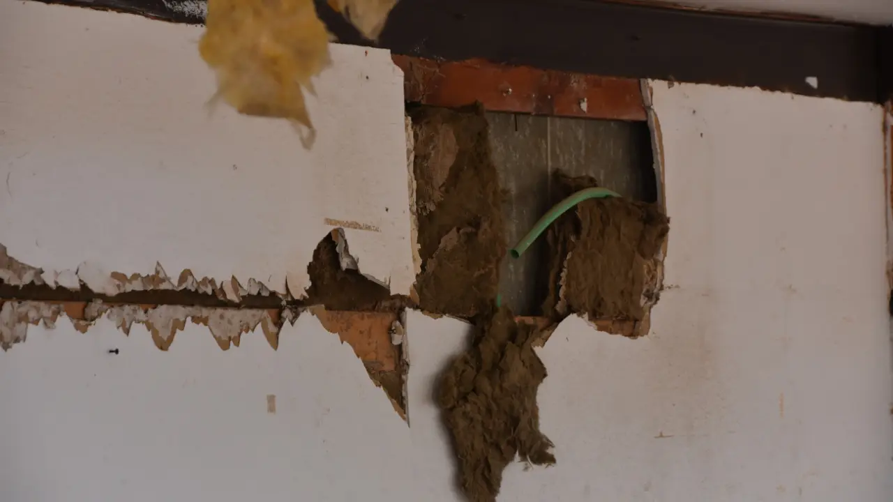 Collapsed drywall and soaked insulation hanging from a water damaged ceiling