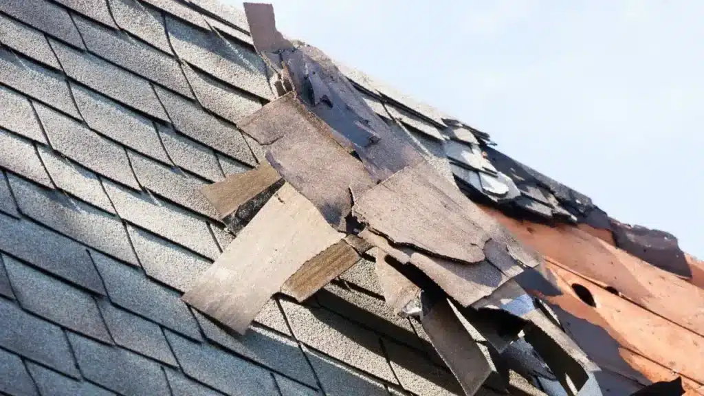Torn and missing shingles on a storm-damaged roof inspected by Kiser Construction in Minnesota